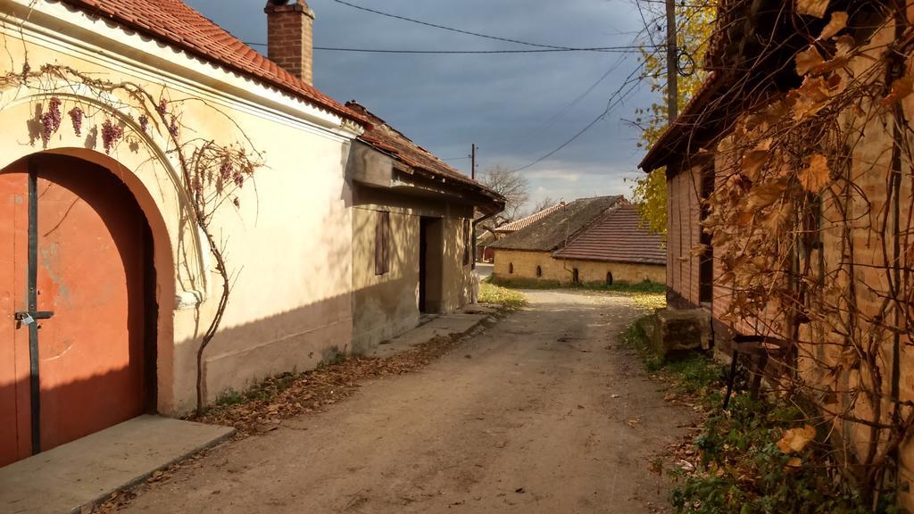 Country House Dunjin Konak Rogljevo Exterior photo
