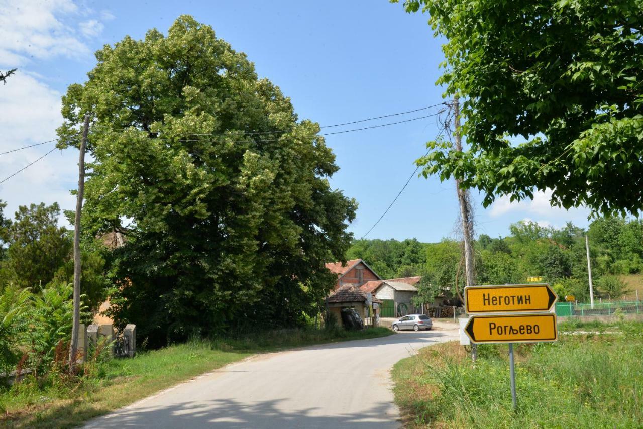 Country House Dunjin Konak Rogljevo Exterior photo