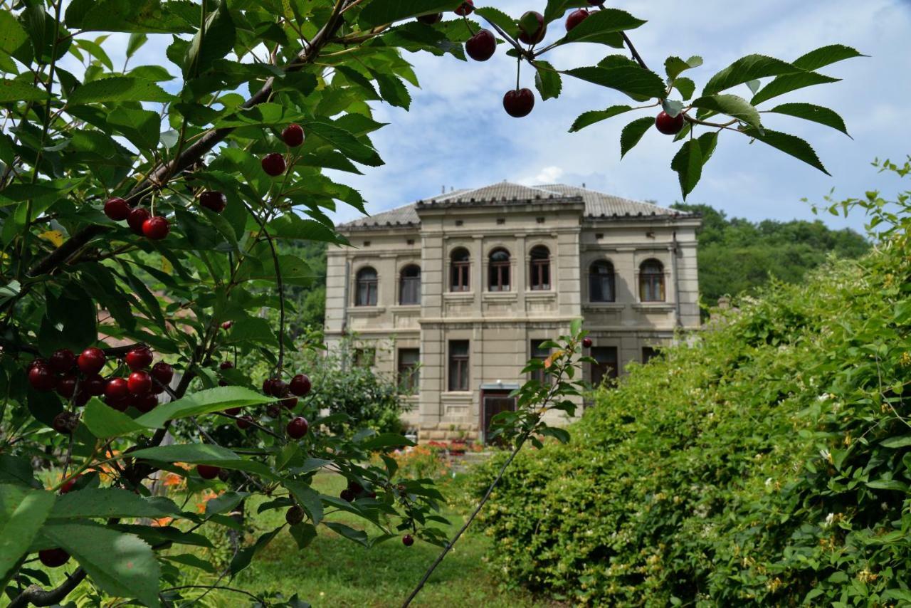 Country House Dunjin Konak Rogljevo Exterior photo