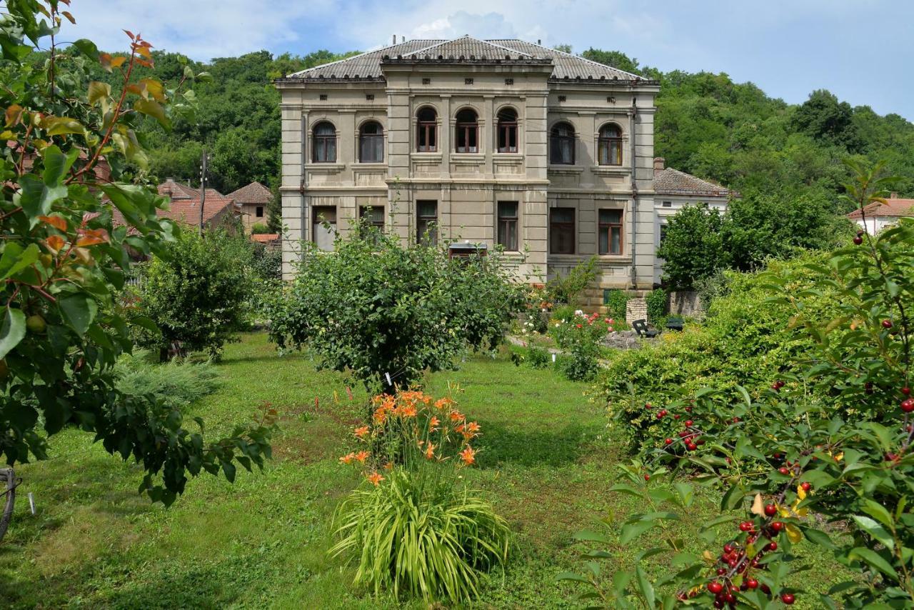 Country House Dunjin Konak Rogljevo Exterior photo