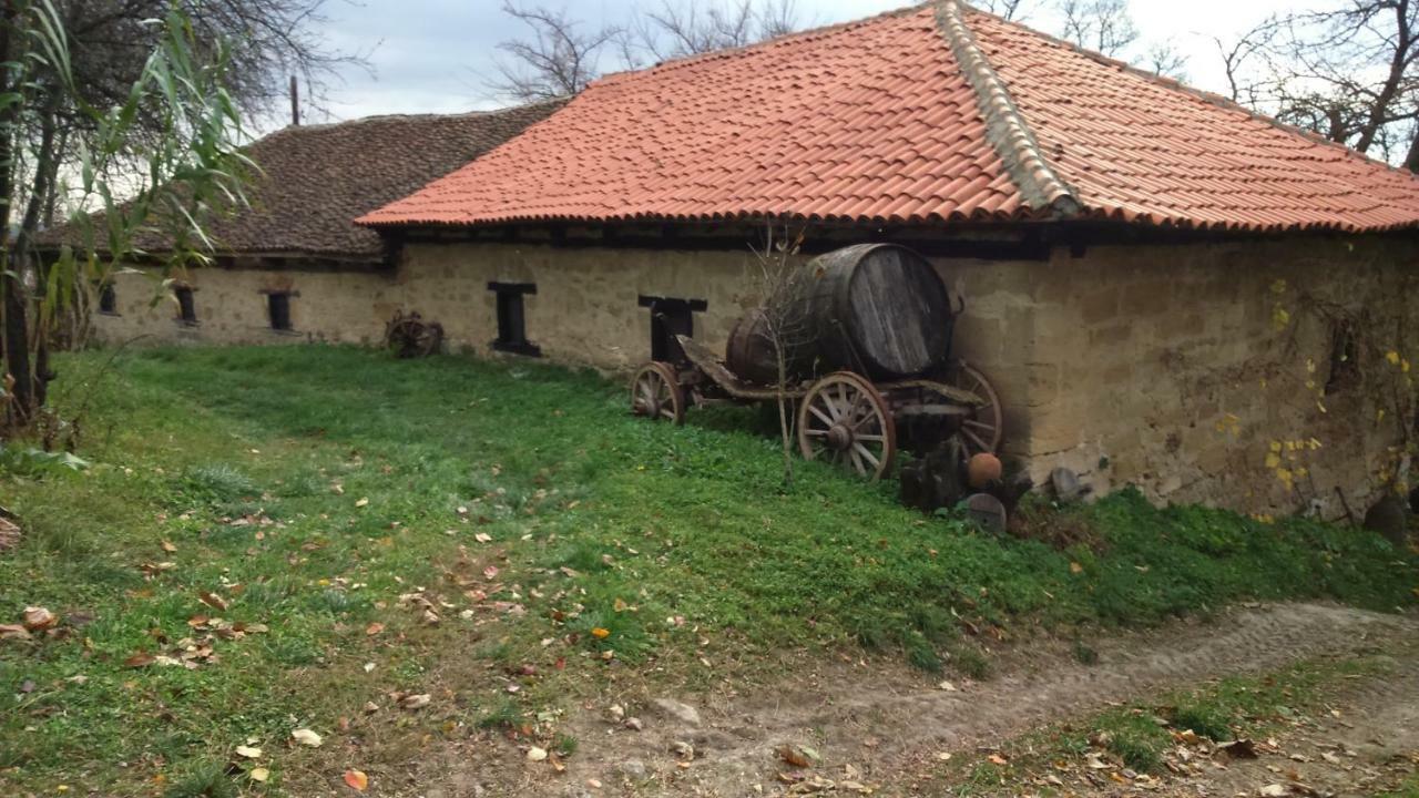 Country House Dunjin Konak Rogljevo Exterior photo
