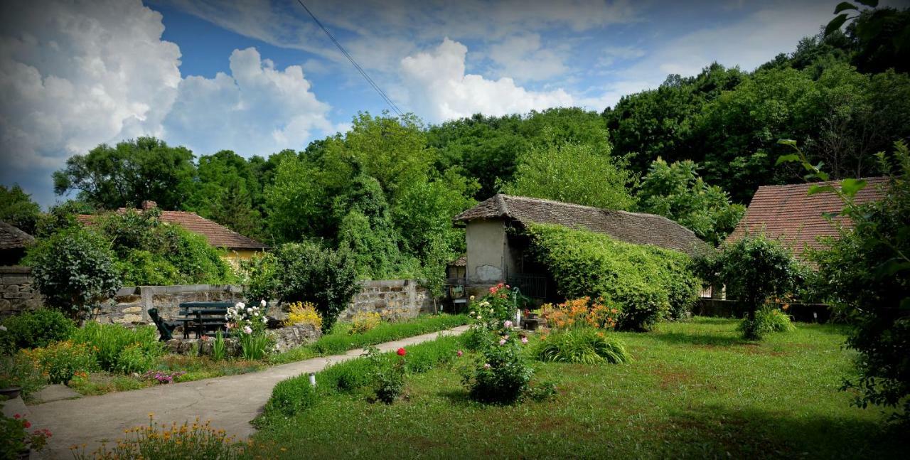 Country House Dunjin Konak Rogljevo Exterior photo